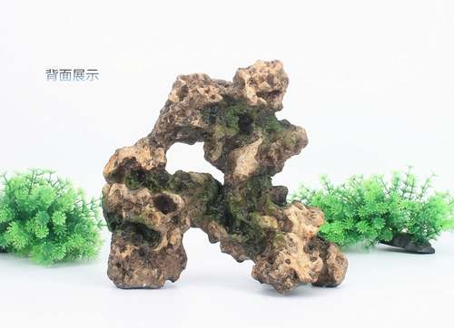 Коралловый камень 13 -летний магазин коралловый камень декоративный камень рыбака ландшафтный фальшивый камень странный камень странный камень аквариум