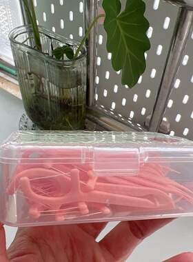 绿素圆线牙线棒柠檬草莓味一次性牙签棒便携家用盒装超细剔牙棒