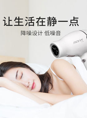 发帝FD-X8S电吹风负离子护发吹风机大功率发廊理发店专用家用风筒