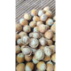 Fresh original hazelnut nuts Liaoning