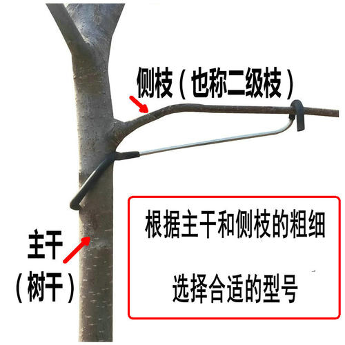 单个果树拉枝器改进型开角器压枝主干定型器别枝拨弯苹果拉枝神器 - 图2
