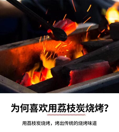 荔枝木炭烧烤碳无烟碳家用果木碳炭块取暖烤火烧烤炭10斤原木炭 - 图1