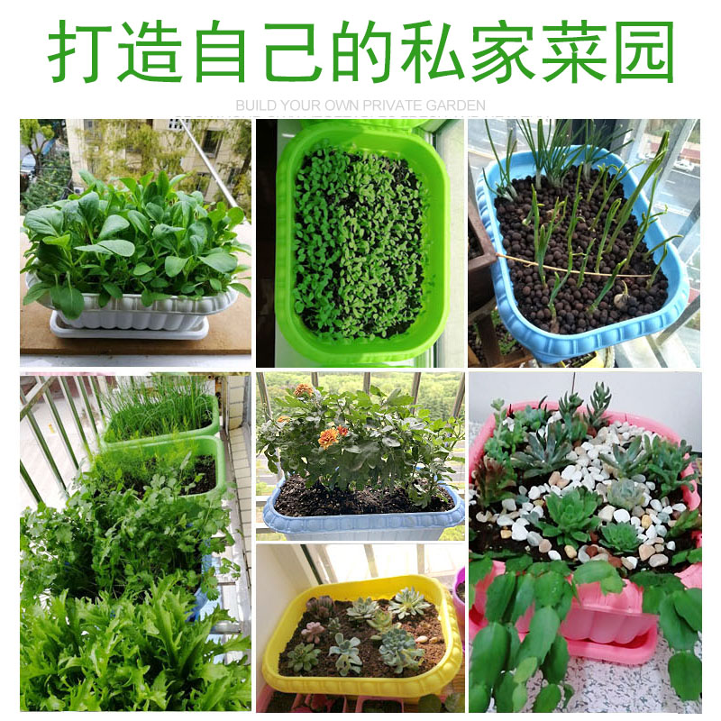 阳台种菜树脂大花盆加厚长方形种菜盆塑料蔬菜盆土培种植箱种植盆 - 图2