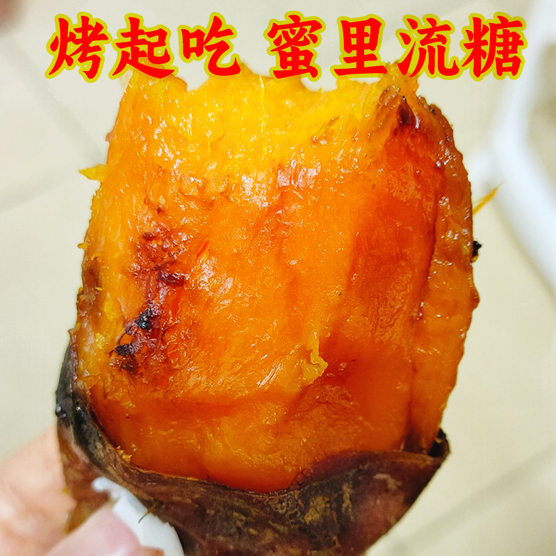 高产红皮红心红薯种薯四川老品种红心红苕育苗薯种烟薯25红心蜜薯