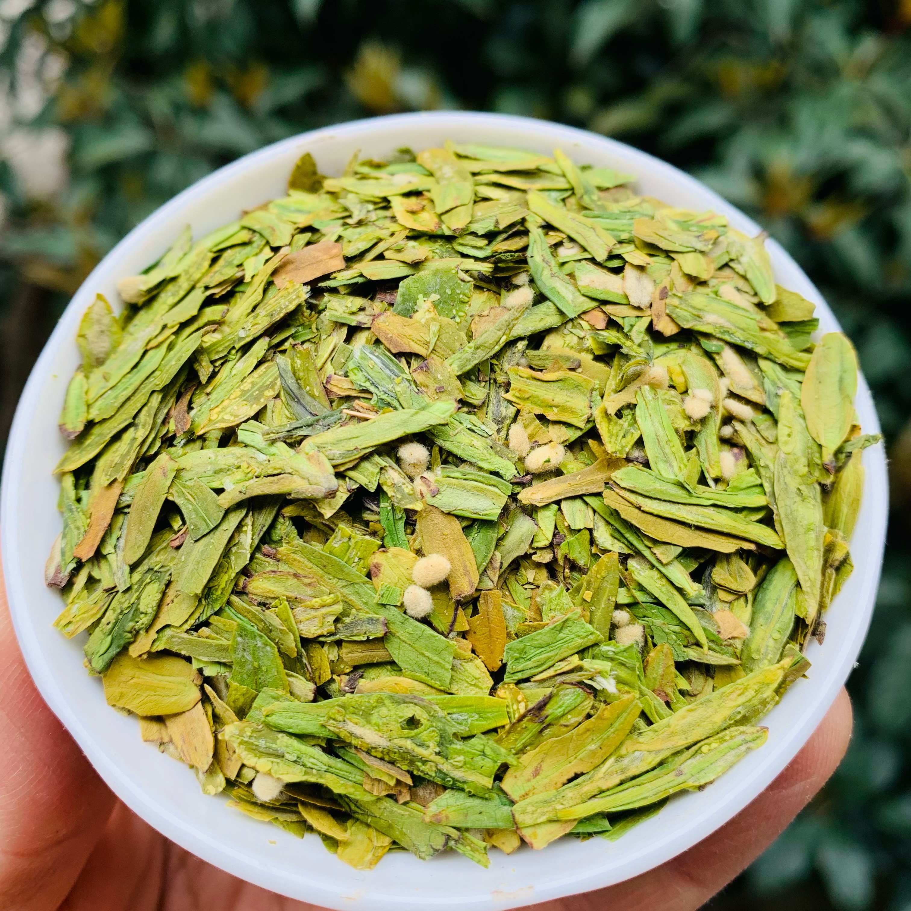 现货2024年新茶特级碎茶心 大茶片 绿茶杭州龙井茶叶茶农直销500g