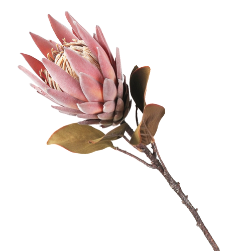 仿真复古大帝王花摆设客厅室内装饰花卉高级插花假花手捧花配材 - 图3