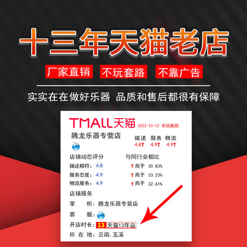 傣竹之韵 黑檀木红木竖吹巴乌 F调 G调专业演奏型 儿童小学生成人 - 图1