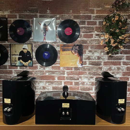 Banlong home theater Nautilus passive bookshelf box hifi fever-grade speaker home high-fidelity audio center