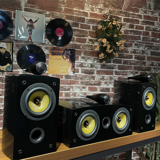 Banlong home theater Nautilus passive bookshelf box hifi fever-grade speaker home high-fidelity audio center