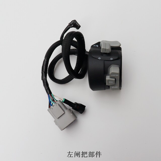 LX250-22 motorcycle left and right handlebar switch stepless