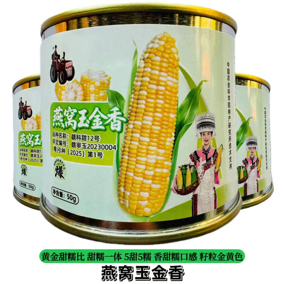 燕窝玉金香燕窝雪糯玉米全新第三代超甜水果爆浆玉好吃籽粒金黄色,淘宝优惠券,粉丝福利购,淘宝优惠卷