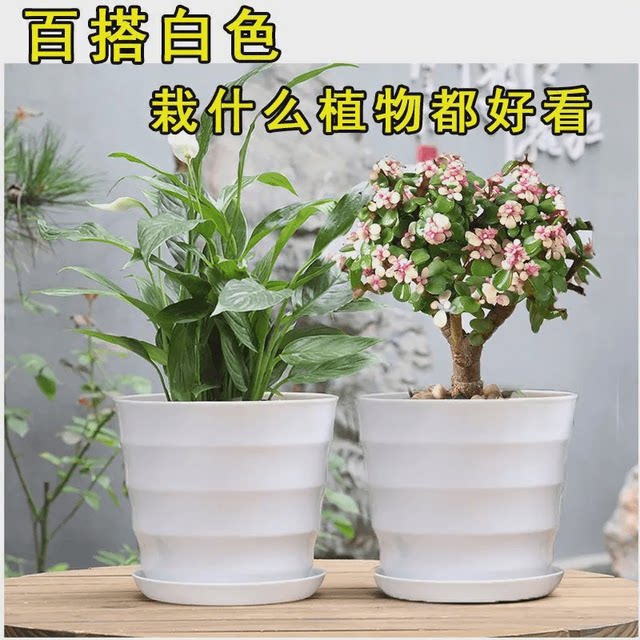 Resin petal pot plastic thickened imitation ceramic colorful resin pumpkin round creative succulent small flower pot with tray