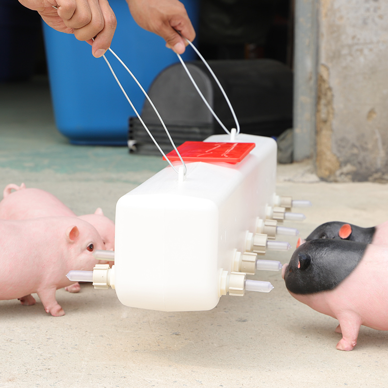 仔猪喂奶神器小猪补乳器羔羊奶瓶奶嘴养殖场喝奶设备猪羊用奶妈机 - 图0