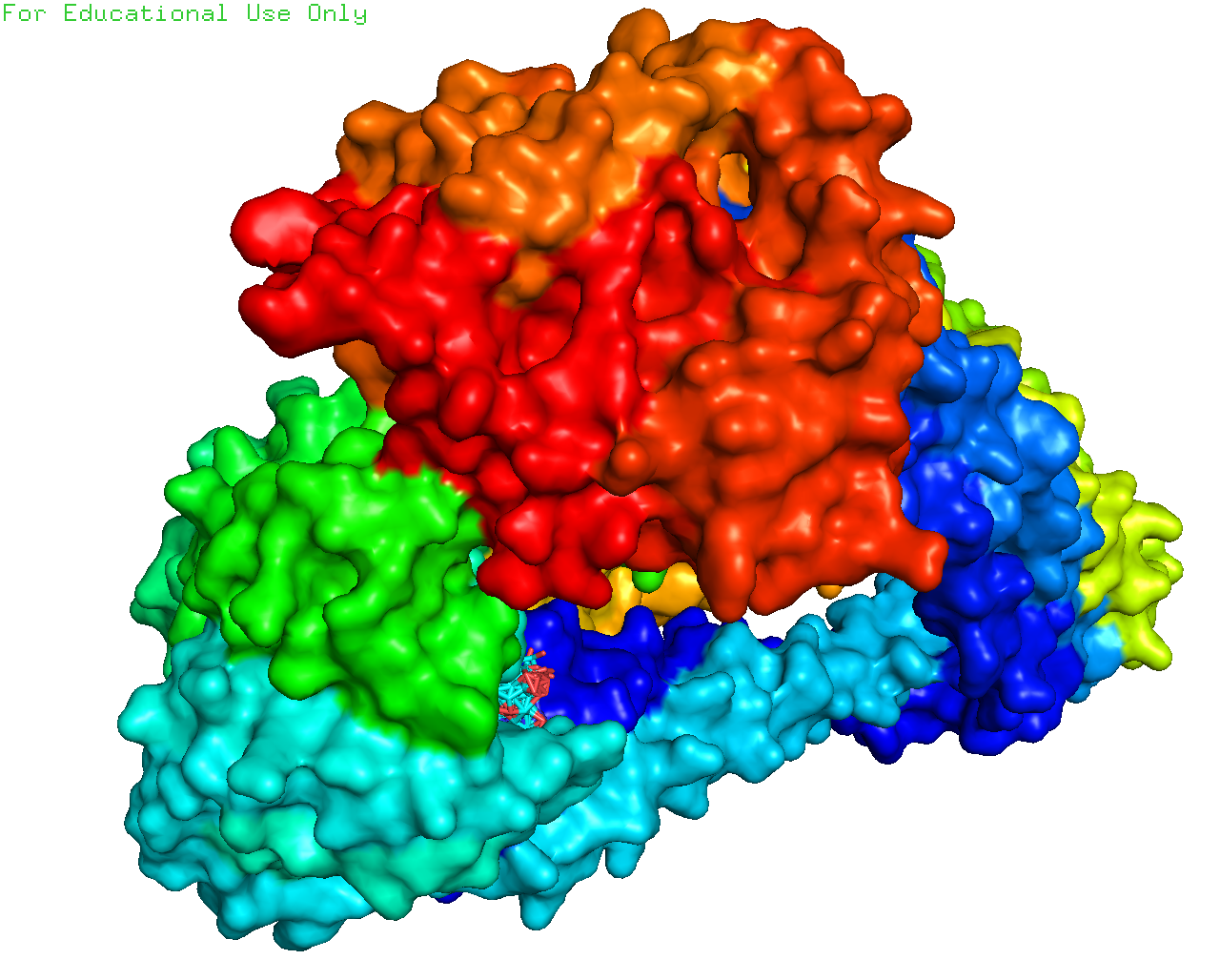 蛋白分子对接Discovery Studio分析3D结构2D结构图PyMOL - 图0