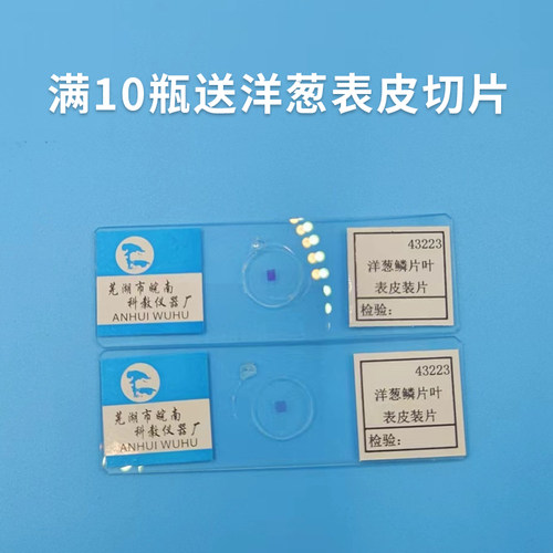 稀碘液 洋葱表皮染色用碘液 初中生物实验100毫升 包邮 - 图0