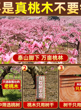 五帝钱真品铜钱门对门入户门卧室门口装饰桃木铜钱葫芦挂件吉祥结