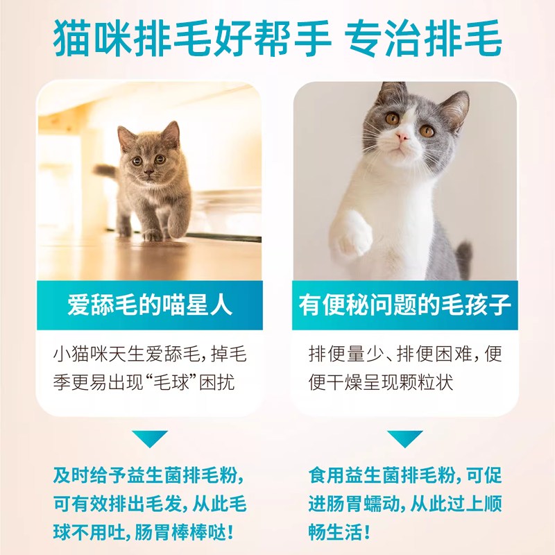 喵君 毛球兽益生菌排毛粉 化毛去毛球调理肠胃便秘呕吐 猫狗通用 - 图0