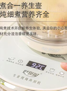 炖燕窝专用隔水玻璃炖锅燕窝机