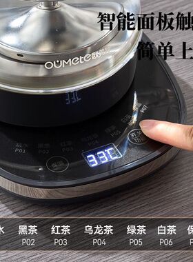 煮茶器家用全自动煮茶壶蒸汽喷淋式黑茶普洱白茶办公室茶炉