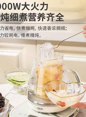 好煲贝养生壶全自动隔水炖燕窝机专业家用燕窝电炖盅煮燕窝炖锅