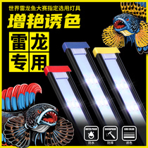 Thunder Dragon Fish Special Fish Tank Light Led Waterproof Floodlight Glasses Snake Barca 7 colorful Bright Blue yellow Red Red Lure