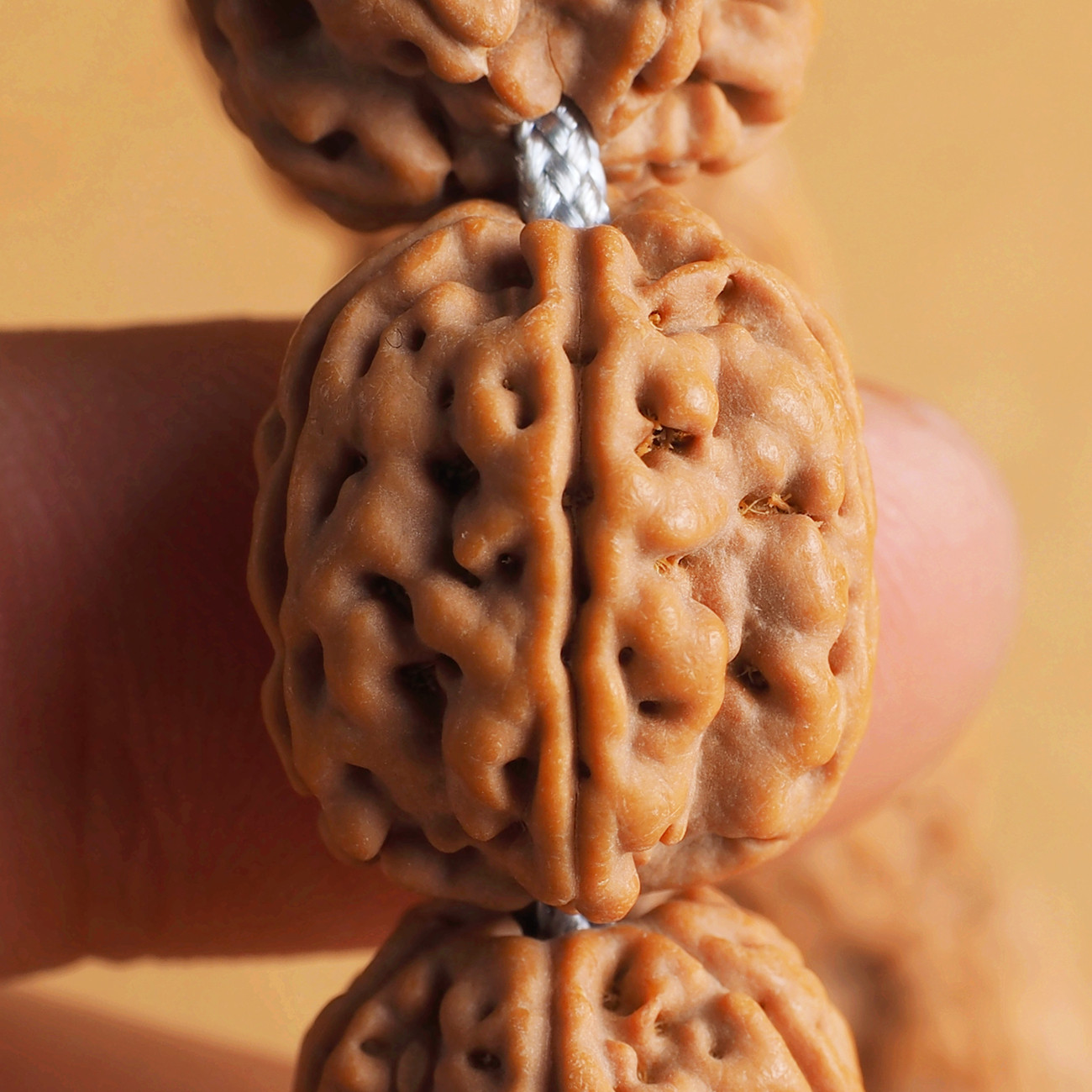 巨型一代盘龙纹小金刚菩提子爆肉红皮狮子头文玩手串佛珠