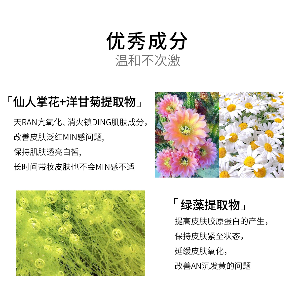 正品J.cat Jcat水润遮瑕粉饼粉底控油定妆持久隐形毛孔磨皮保湿 - 图2