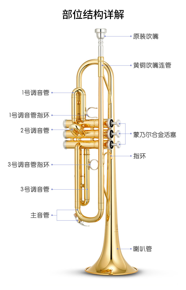 轩音乐器/标准型降B调小号乐器成年儿童初学管乐入门考级专业演奏-图3