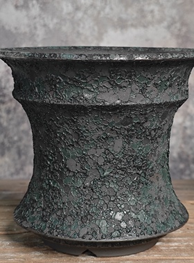 块根植物盆复古金属泡泡中号龙舌兰龟甲龙象芽宫盆惠比大黑仙人球