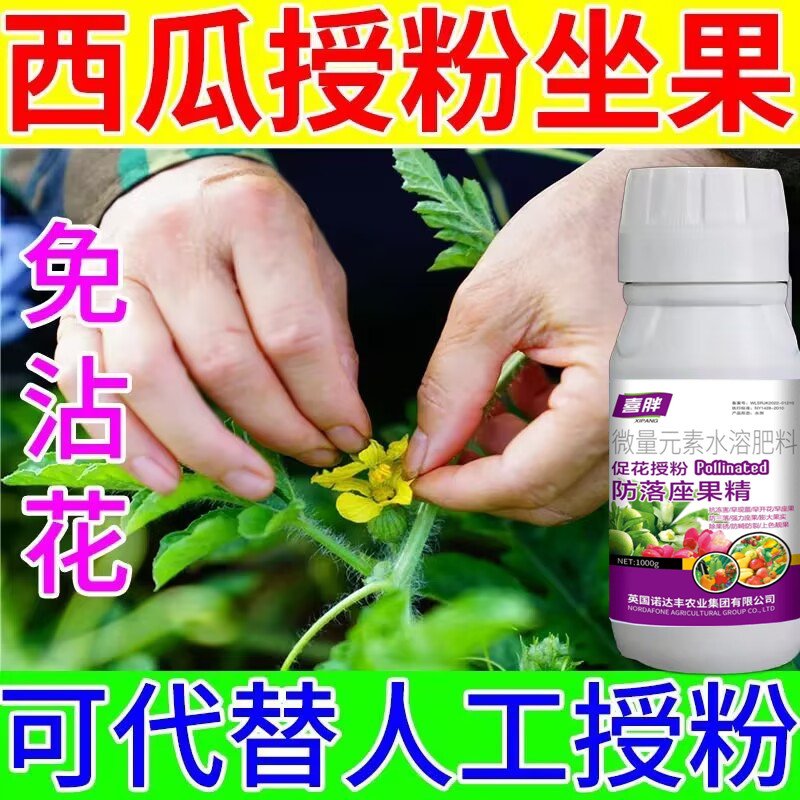 西瓜授粉专用药点花药免沾花授粉坐果精保花保果素防落防畸叶面肥 - 图2