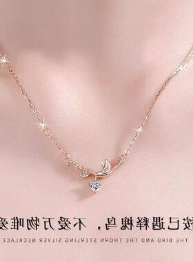 爆款年项链2025生日礼物款新款