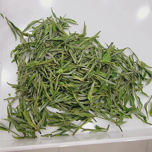 岳西翠兰茶叶2026年新茶茶农直销绿茶高山野茶500g性价比高味道好 - 图0