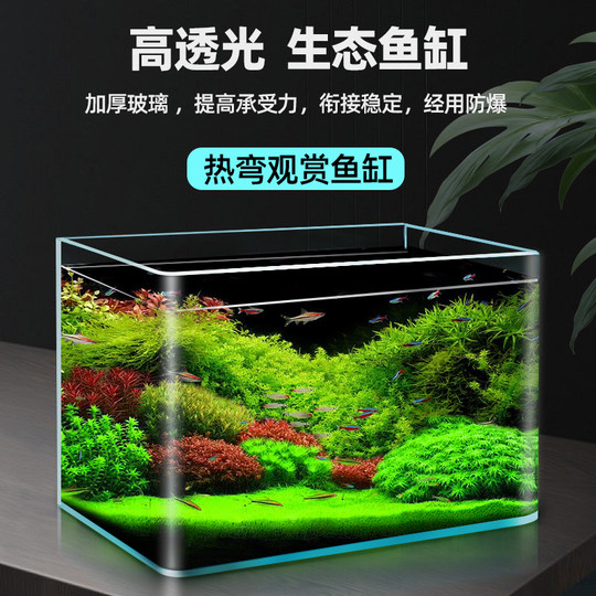 热弯小型客厅2025桌面玻璃缸水缸生态金鱼缸家用养鱼水族箱懒人