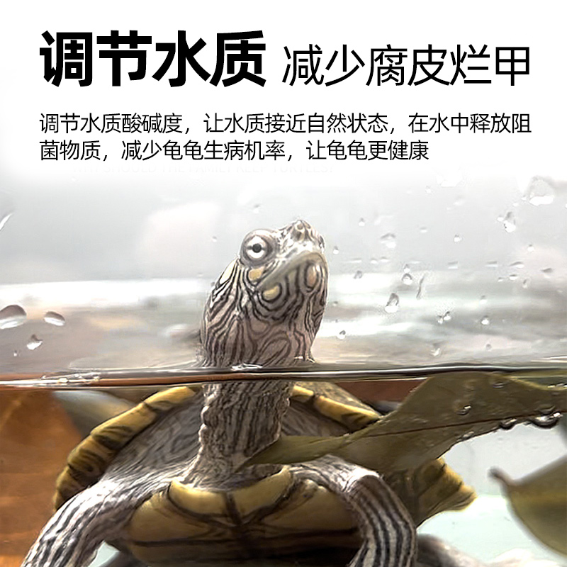 龙眼叶养龟免煮乌龟腐皮烂甲躲避龟用叶子龟缸桂圆叶改善水质造景,淘宝优惠券,粉丝福利购,淘宝优惠卷