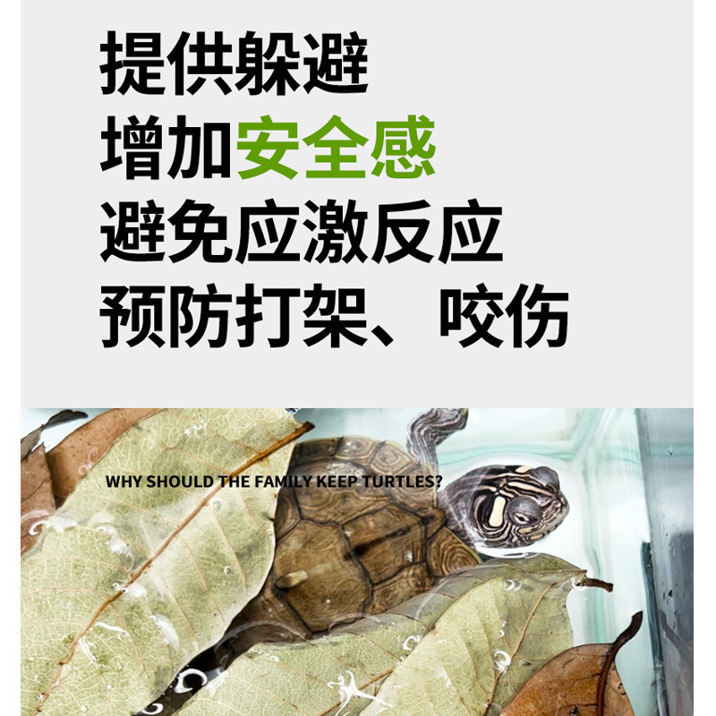 龙眼叶养龟免煮乌龟腐皮烂甲躲避龟用叶子龟缸桂圆叶改善水质造景,淘宝优惠券,粉丝福利购,淘宝优惠卷