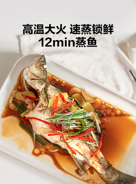北鼎燕窝电炖盅家用蒸炖锅多功能