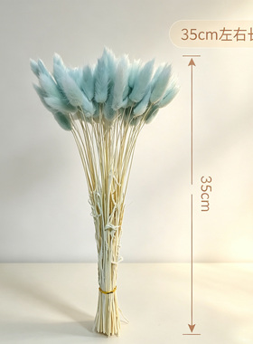 35cm兔尾草干花花束风干真花插花
