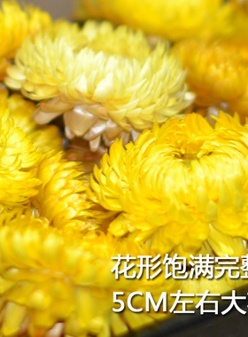 干花包包邮大号新花盒装保护永生