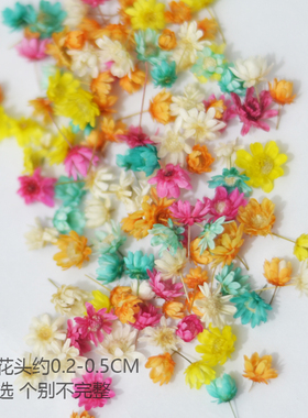 小星花干花包花头永生花滴胶花材