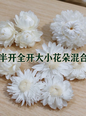 干花包散装大花麦秆菊小雏菊米白