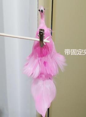 火烈鸟真实羽毛装饰摆件仿真小鸟