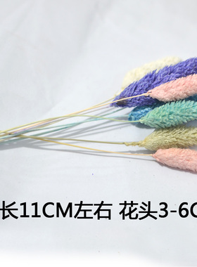 宝石草干花包精选花头花头材料包