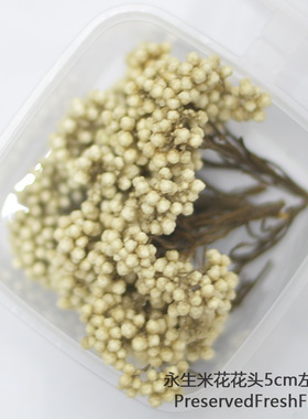 米花干花头短枝手工材料浮油花材