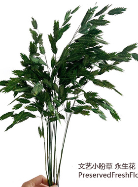 小盼草干花包永生花文艺客厅装饰