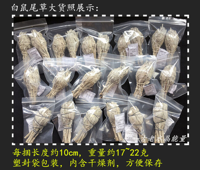 现货美国加州优质野生白鼠尾草捆10~12cm清理房间净化室内香草-图1