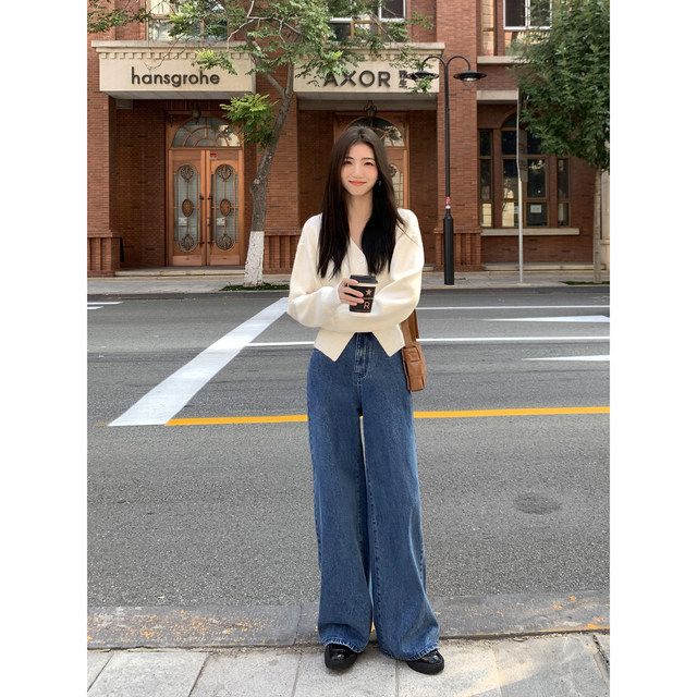 Black V-neck long-sleeved short sweater cardigan