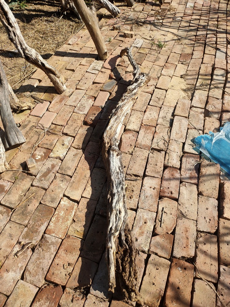 风化木枯木老木料爬宠造景木热带鬃狮蜥蜴守宫睫角蛇攀爬造型树桩 - 图2