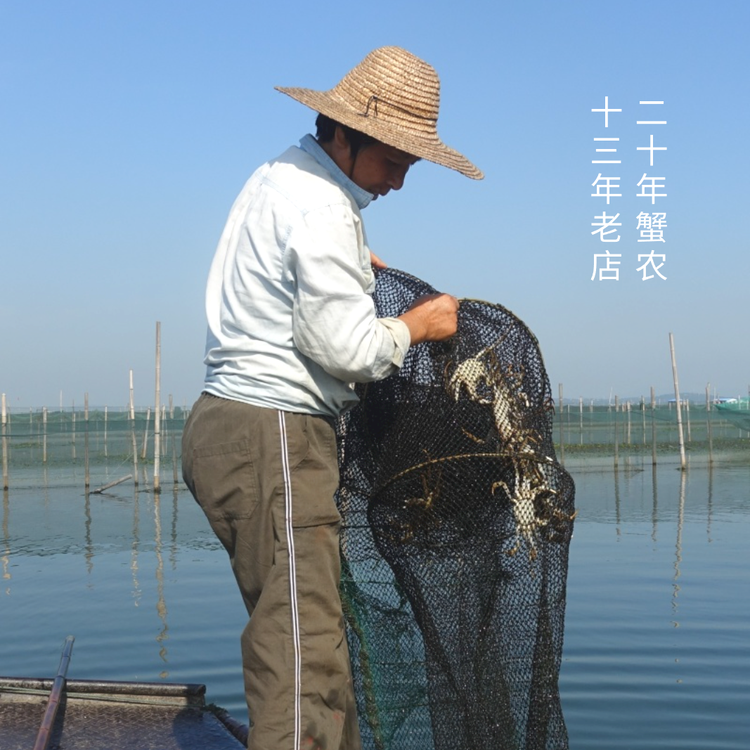 中大苏州太湖大闸蟹2.7母3.5公礼盒装新鲜活湖螃蟹农自产自销小份,淘宝优惠券,粉丝福利购,淘宝优惠卷