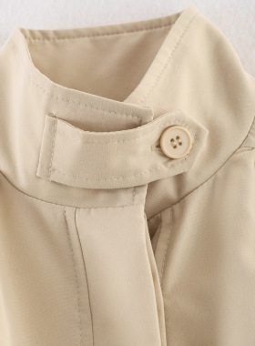 Women's 2026 Style Pleated Texture Stand llar Lantern Sleeve