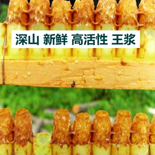 Лесная королевская пульпа медовая черная пчела Королевская желе, медовая свежая пчела королевская пульпа, чистого натурального фермы добывает 2 фунта